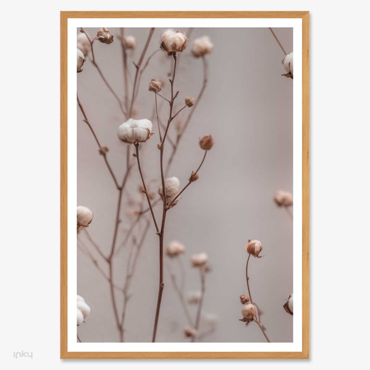 פוסטר של ענף כותנה